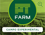 PT FARM